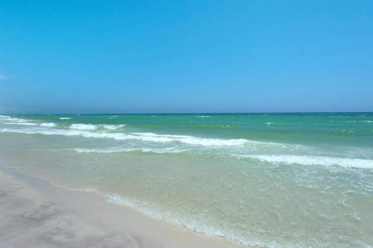 Calypso 2-1907 West Apartment Panama City Beach